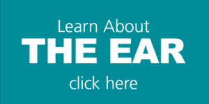 Learn About THE EAR click here